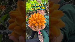 Top 5 Fruits That Look Fake