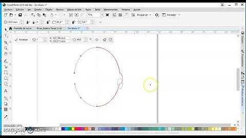 SIMETRIA con Corel Draw