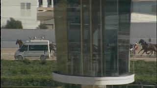 Vidéo de la course PMU CRITERIUM D'HIVERN