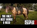 HOW TO GET RARE HORSE FOR FREE IN RDR2 | AMBER MISSOURI FOX TROTTER...