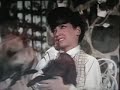 The Ugly Dachshund trailer, Great Dane 1966 Disney