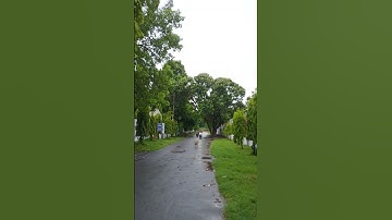 MGKVP || mahatama Gandhi Kashi Vidyapeeth University|| varanasi #shorts #viralvideo