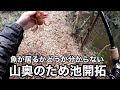 【新規開拓】とんでもないバケモンが潜んでました。