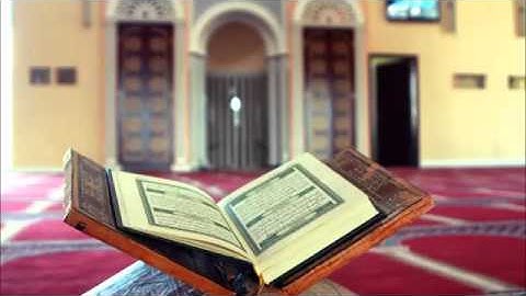 القارئ :حاتم المالكي من سورة النجم