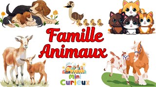 Les Super Familles De La Ferme Papa, Maman Et Bébé Découvre Les Familles Danimaux De La Ferme