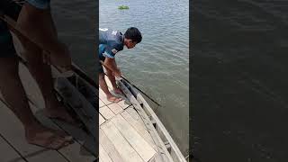 #amazingfishing #fishing #amazingfishing #fishing