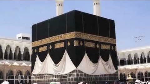 القرآن الكريم  سورة الأحقاف Quran Al-'Ahqaf 46