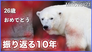 貴重な名場面【ホッキョクグマ】ララ26歳誕生日記念 Polar Bear's  Birthday