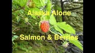 Alaska Alone - Salmon and Berries (part 16)