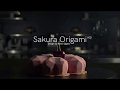 Vídeo: MOLDE SAKURA ORIGAMI 600