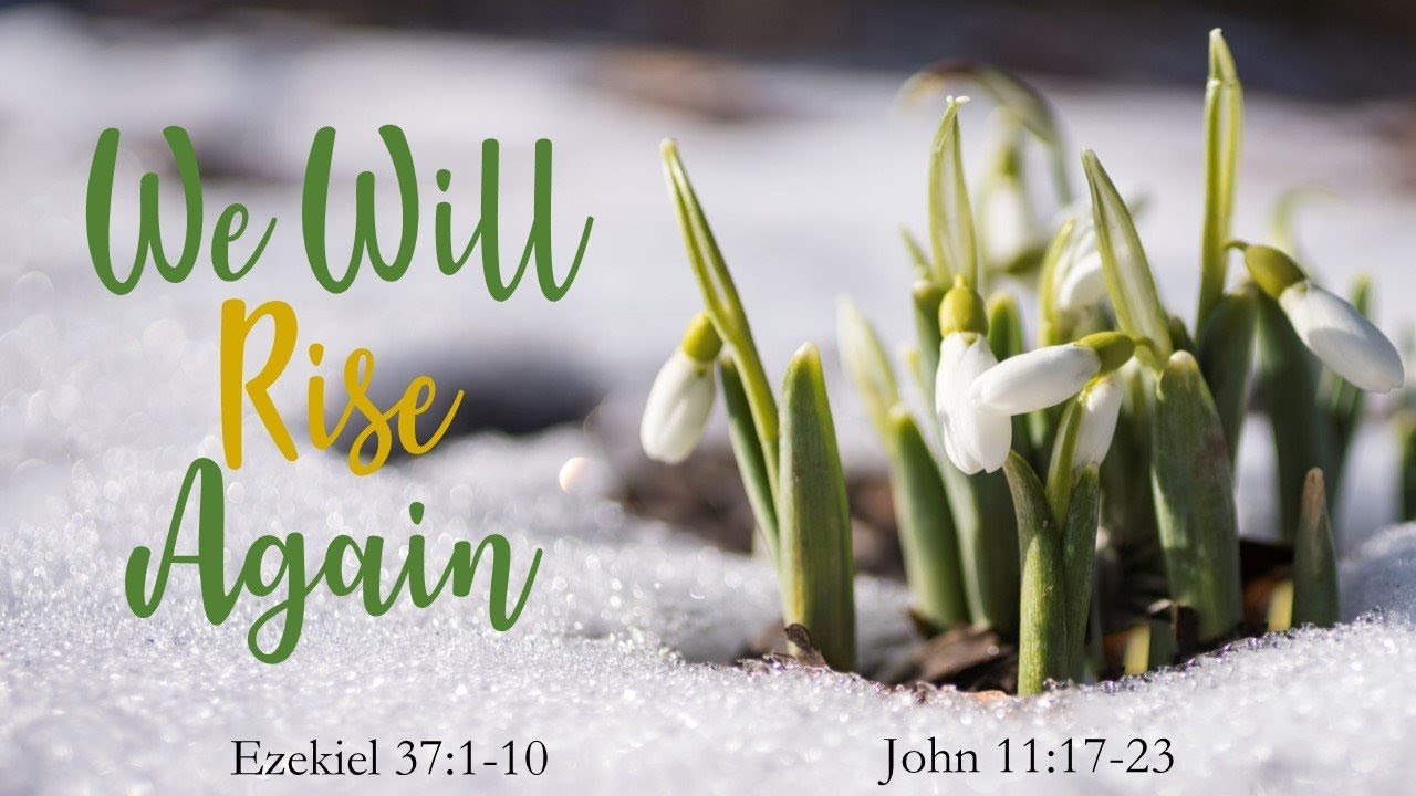 We Will Rise Again — South Run Baptist Church | Springfield VA Church |  Sunday Worship 11am, image size:1280x720