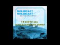 Wildcat! Wildcat! - End Of The World Everyday (Lyrics On Screen)