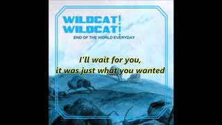 Wildcat! Wildcat! - End Of The World Everyday (Lyrics On Screen)