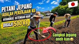 Bertani bareng orang jepang seseru ini tapi capek