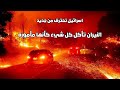 اسرائيل تحترق من جديد النيران تأكل كل شيء كأنها مأموره وهروب مئات الاسرائلين من ألسنة اللهب اسرائيل تحترق من جديد النيران تأكل كل شيء كأنها مأموره وهروب مئات الاسرائلين من ألسنة اللهب