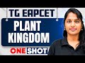 Plant kingdom Complete in 1 One Shot | Botany TG EAPCET in Telugu | All Topics Covered