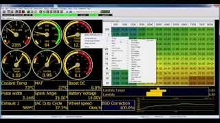 VemsTune VEMS Standalone Tuning Software Demo video screenshot 3