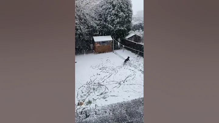 Jetts first snow
