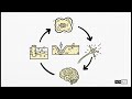 Harvesting Power from Cellular Fluctuations