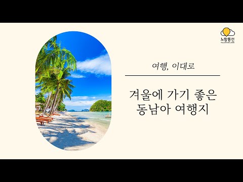 겨울에 가기 좋은 동남아 여행지🌴 - video from Yellow Balloon