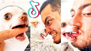 All Mreviatar Funny Tiktoks Compilation