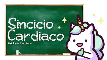 O que é a contração do coração?