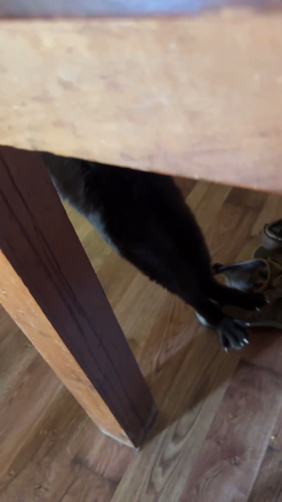 Hanging in There for a Bit of Chicken || ViralHog