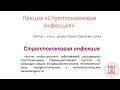 Стрептококковая инфекция