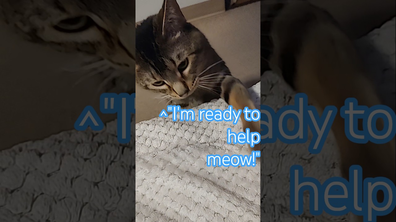 CSD! Chubbs wants to ask TubeYoubers...