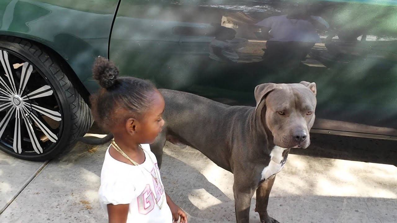 Thats my car.....on 2s. 78 Olds Cutlass on 22s.