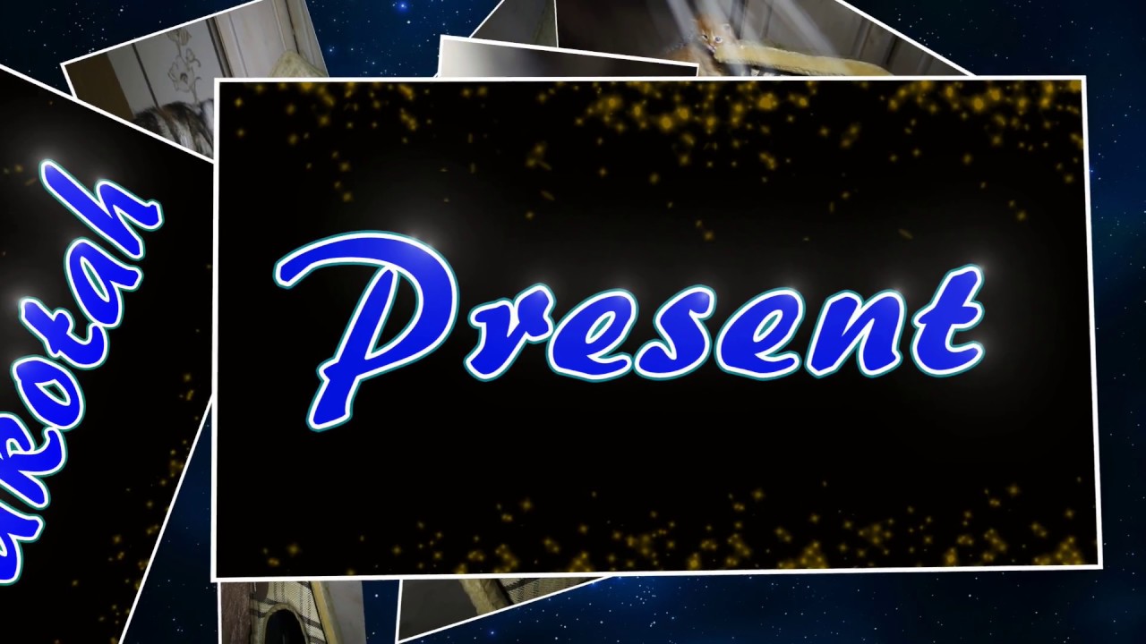 Sweettails Dahotah 27 11 2016