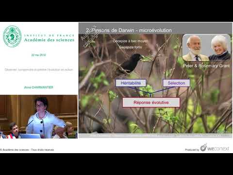 Vidéo: Peut-on observer une évolution ?