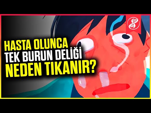 Video: Neden tek cinsiyetli okullar daha iyi?