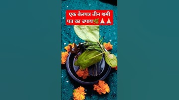 एक बेलपत्र तीन शमी पत्र का उपाय #shivmahapurankeupaypradeepmishra #pradeepmishrajikiliveshivpurankat