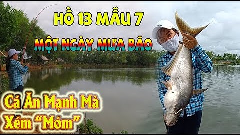 Câu Cá Hồ 13 Mẫu 7 Một Ngày Mưa Bão Mà Không Bão Cá | Fishing With Lan