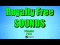 B  royalty free musics  royalty free sounds  no copyright musics  free musics
