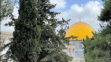 ترتيل سورة مريم - القارئ أبو رضوان خوالد