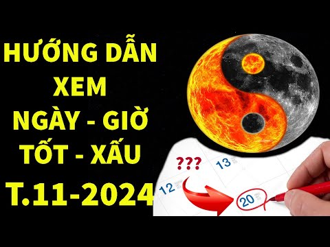 Video: Ngày mùng chó mỗi ngày, ngày 15 tháng 11 tìm cách thay đổi định kiến giống