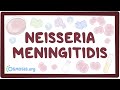 Neisseria meningitidis - an Osmosis Preview