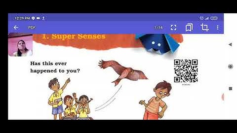 Class 5  Sub EVS   L1  SUPER SENSES