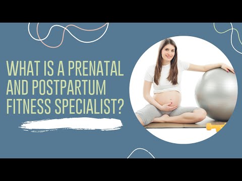 Postpartum Fitness: Expert Trainer's Guide