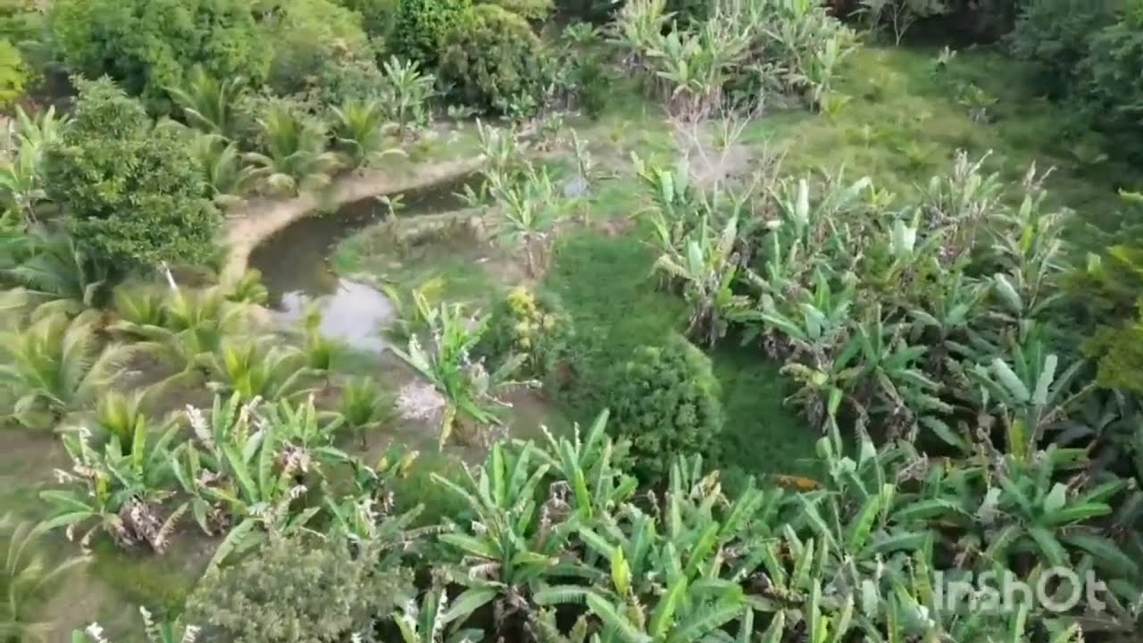 Esse sítio não está mais disponível ⚠️