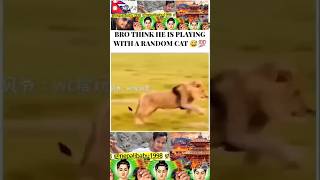 Maut_ka_khel_#lion_#animals_#attitude_#sigma_#respect_#shorts_#yt_#reaction