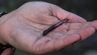 Living Lab Tour - Ecology of the Lake