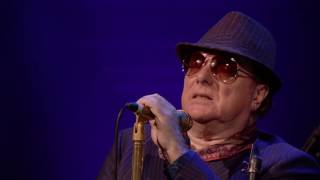 Video thumbnail of "Van Morrison - Brown Eyed Girl (Radio 2 In Concert)"