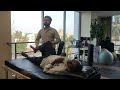 back pain physiotherapy treatment and streches