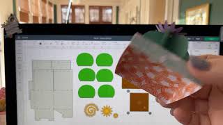 Mini Cactus Box with your Cricut