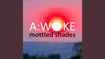 Better to Ask for Forgiveness Than Seek Permission