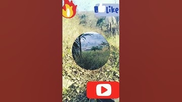 MY FIRST VLOG MY FIRST VIDEO #myfirstvlog #my_first_vlog #my_first_vlog_on_youtube #myfirstvlogviral