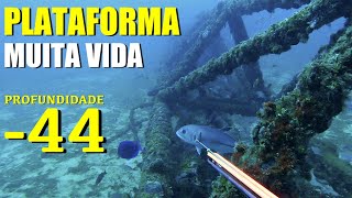 Hunters Pesca Sub - Três Dias Em Alto Mar - Muita Vida E Belas Capturas